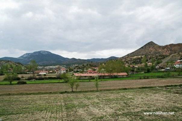 Nallıhan Dereköy Köyü Resimleri 1