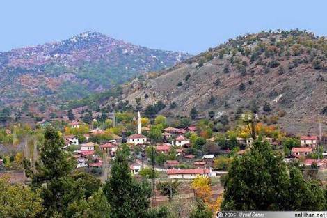 Nallıhan Dereköy Köyü Resimleri 2