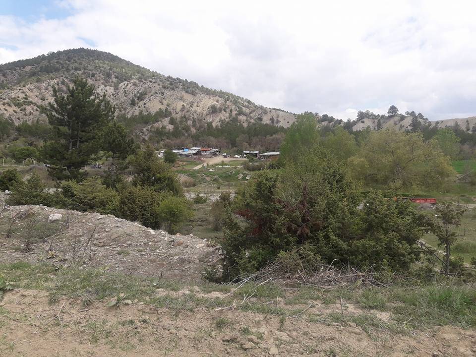 Nallıhan Doğandere Köyü Resimleri 1