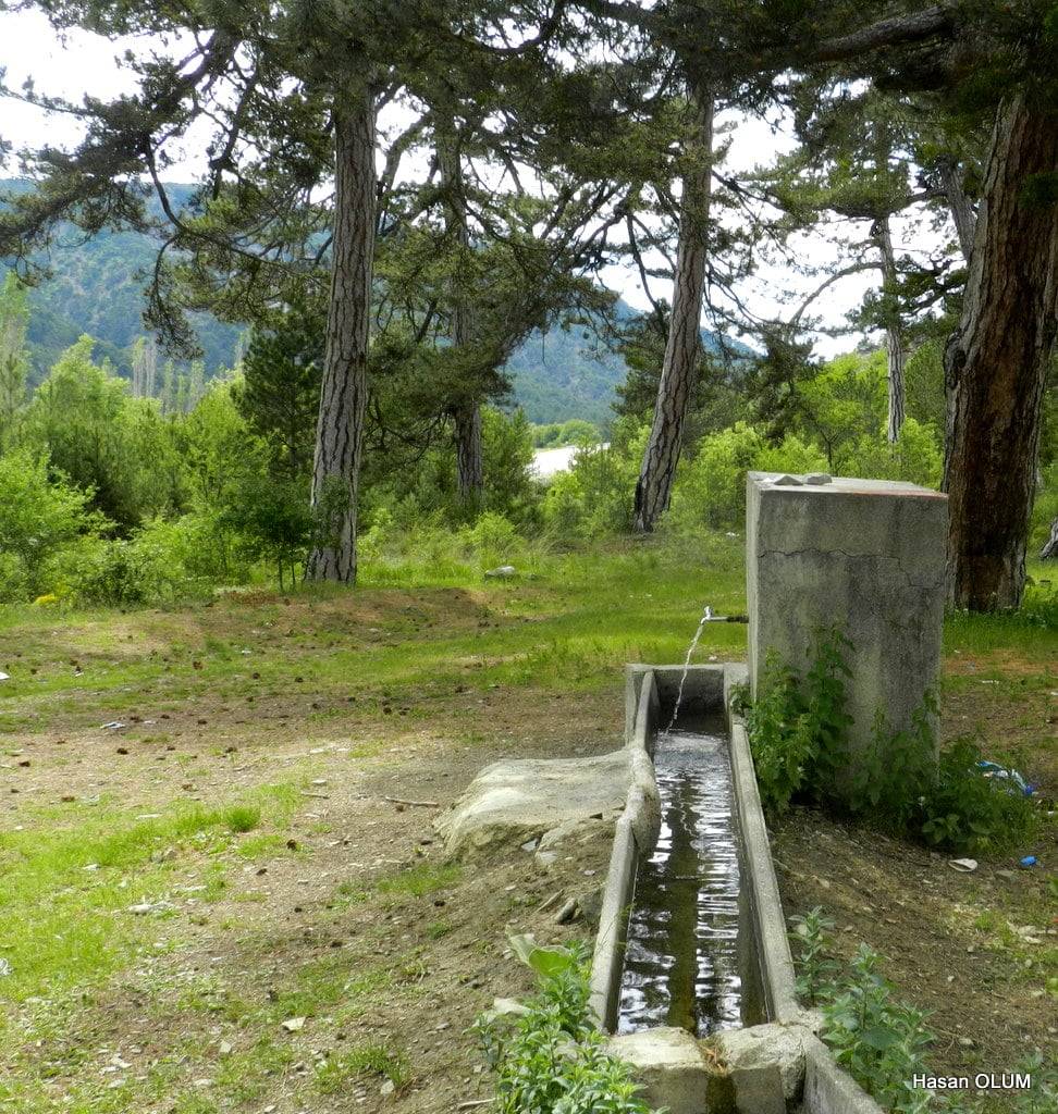 Nallıhan Doğandere Köyü Resimleri 5