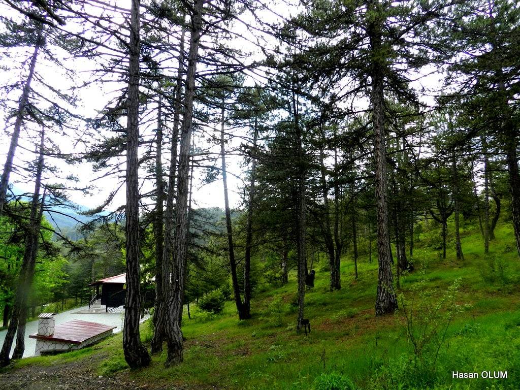 Nallıhan Doğandere Köyü Resimleri 7