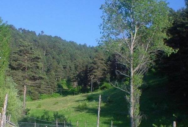 Nallıhan Döğmeci Köyü Resimleri 2