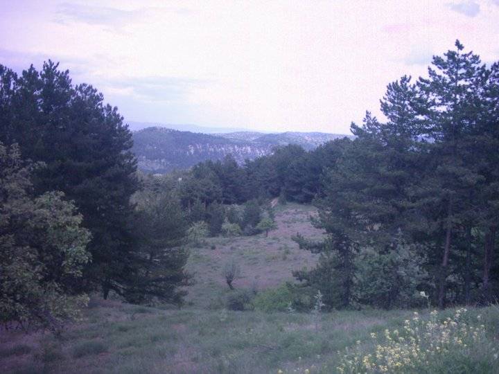 Nallıhan Döğmeci Köyü Resimleri 3