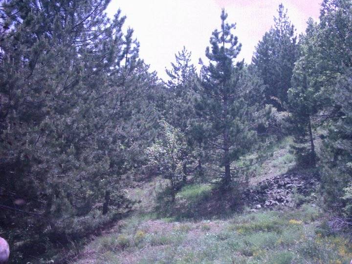 Nallıhan Döğmeci Köyü Resimleri 6