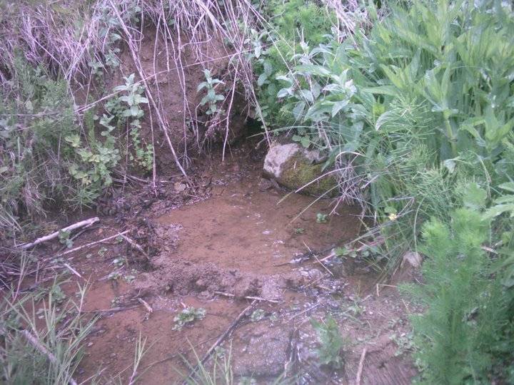 Nallıhan Döğmeci Köyü Resimleri 7