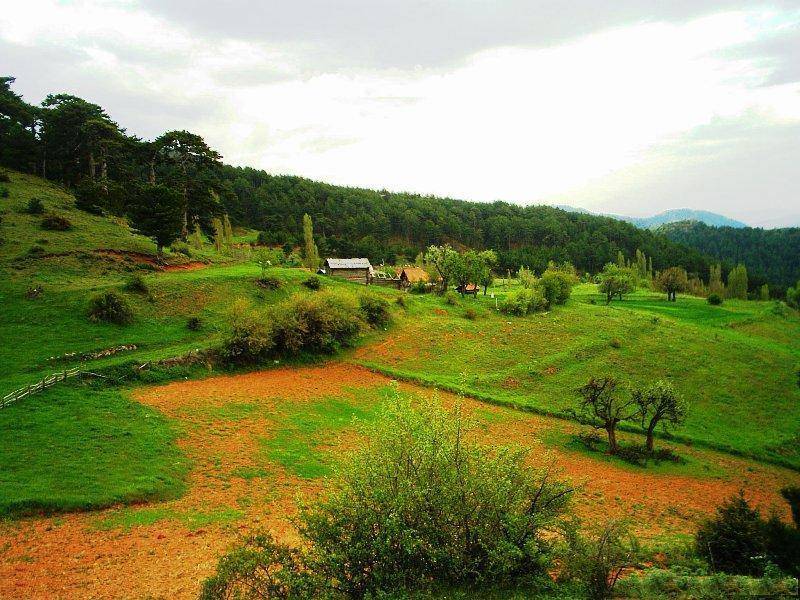 Nallıhan Döğmeci Köyü Resimleri 9
