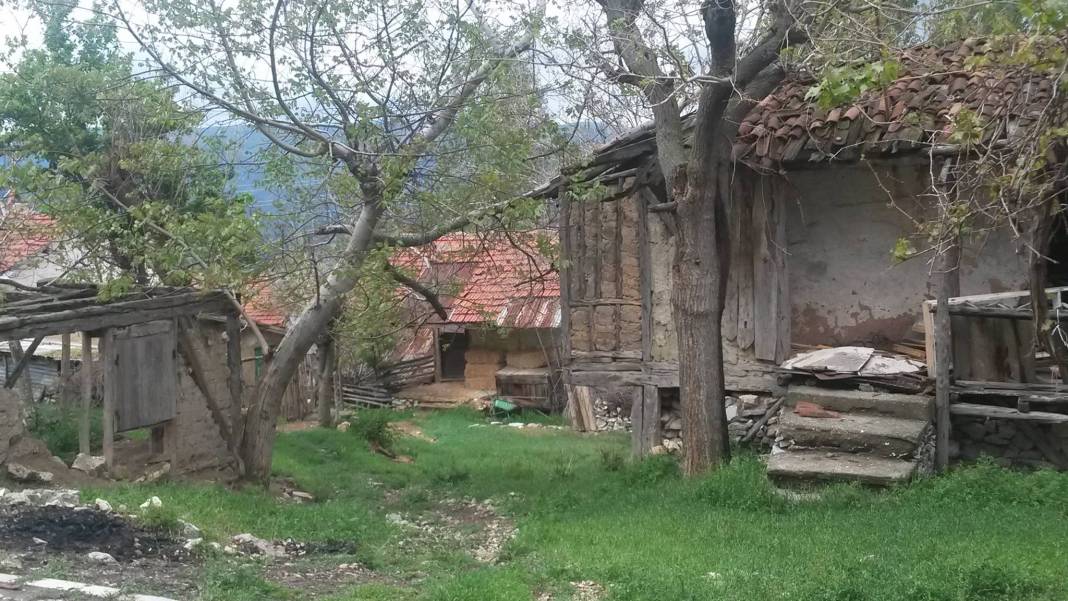 Nallıhan Eğriköy Köyü Resimleri 2