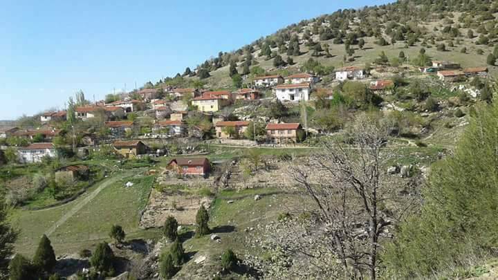 Nallıhan Eğriköy Köyü Resimleri 3