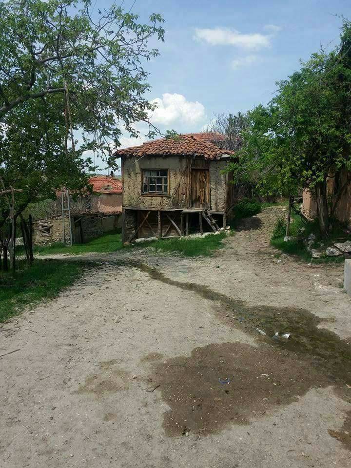 Nallıhan Eğriköy Köyü Resimleri 5