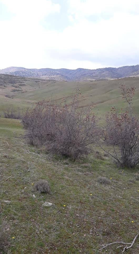 Nallıhan Emremsultan Köyü Resimleri 5