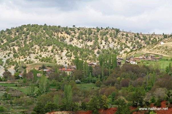 Nallıhan Epçeler Köyü Resimleri 1