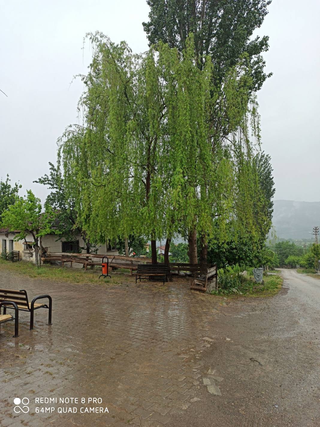 Nallıhan Ericek Köyü Resimleri 12