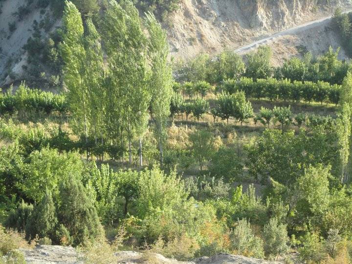 Nallıhan Ericek Köyü Resimleri 3