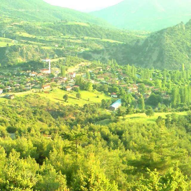 Nallıhan Ericek Köyü Resimleri 4