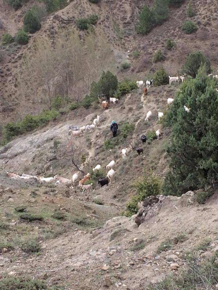 Nallıhan Gökçeöz Köyü Resimleri 3