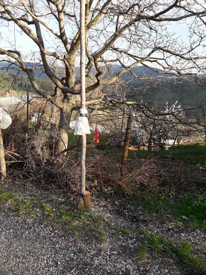 Hallıhan Hacıhasanlar Köyü Resimleri 7