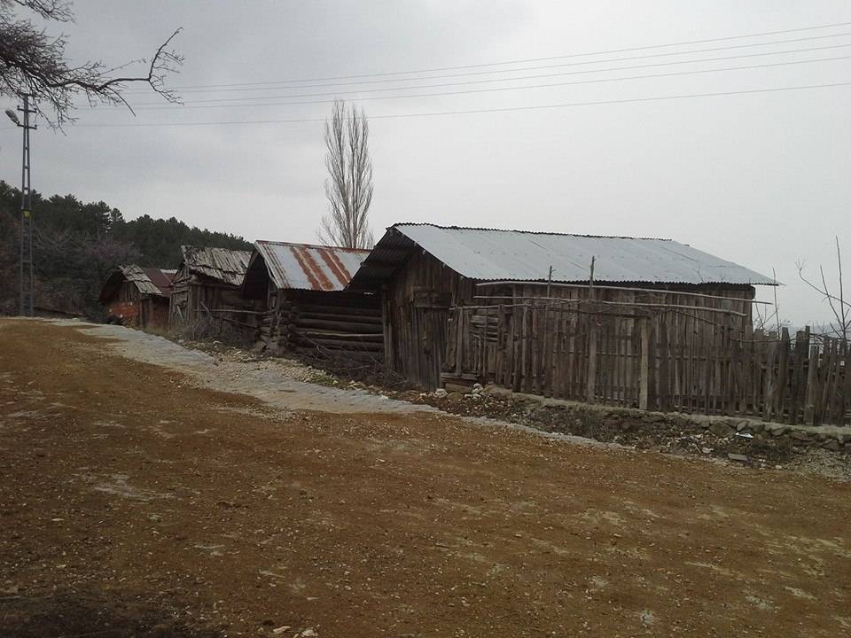 Nallıhan İslamalanı Köyü Resimleri 3