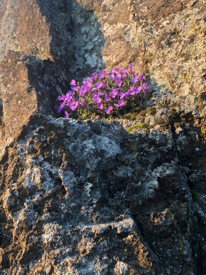 Nallıhan İslamalanı Köyü Resimleri 7
