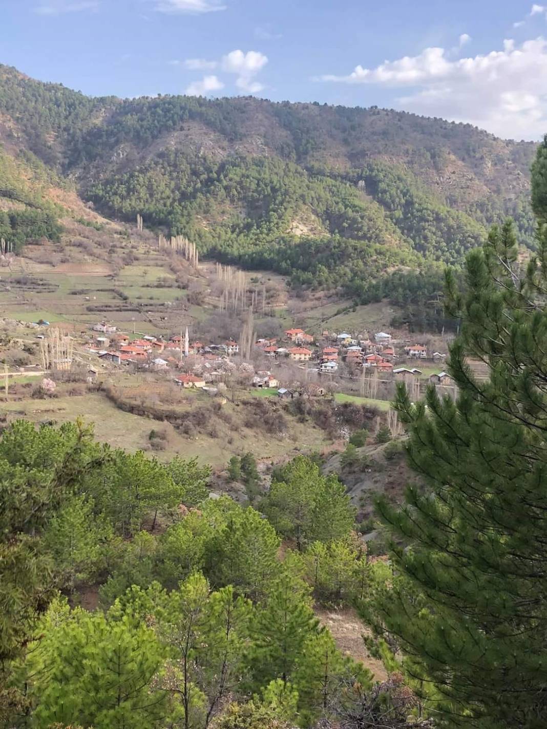 Nallıhan İslamalanı Köyü Resimleri 9