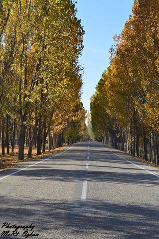 Nallıhan Kabaca Köyü Resimleri 1