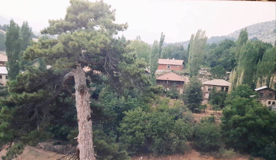 Nallıhan Kadıköy Köyü Resimleri 2