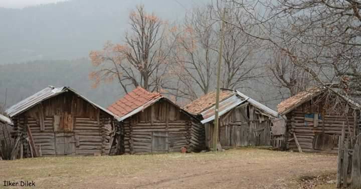 Nallıhan Kadıköy Köyü Resimleri 4