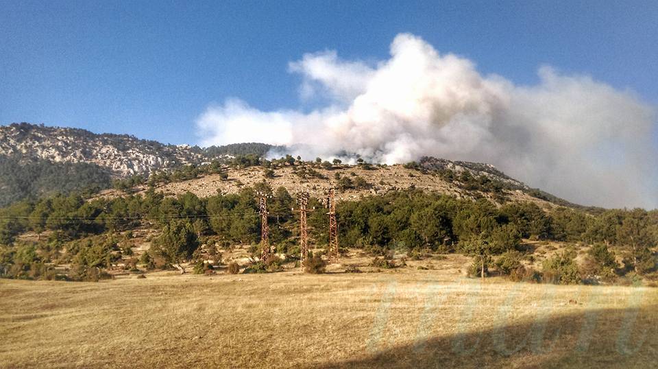 Nallıhan Kadıköy Köyü Resimleri 5