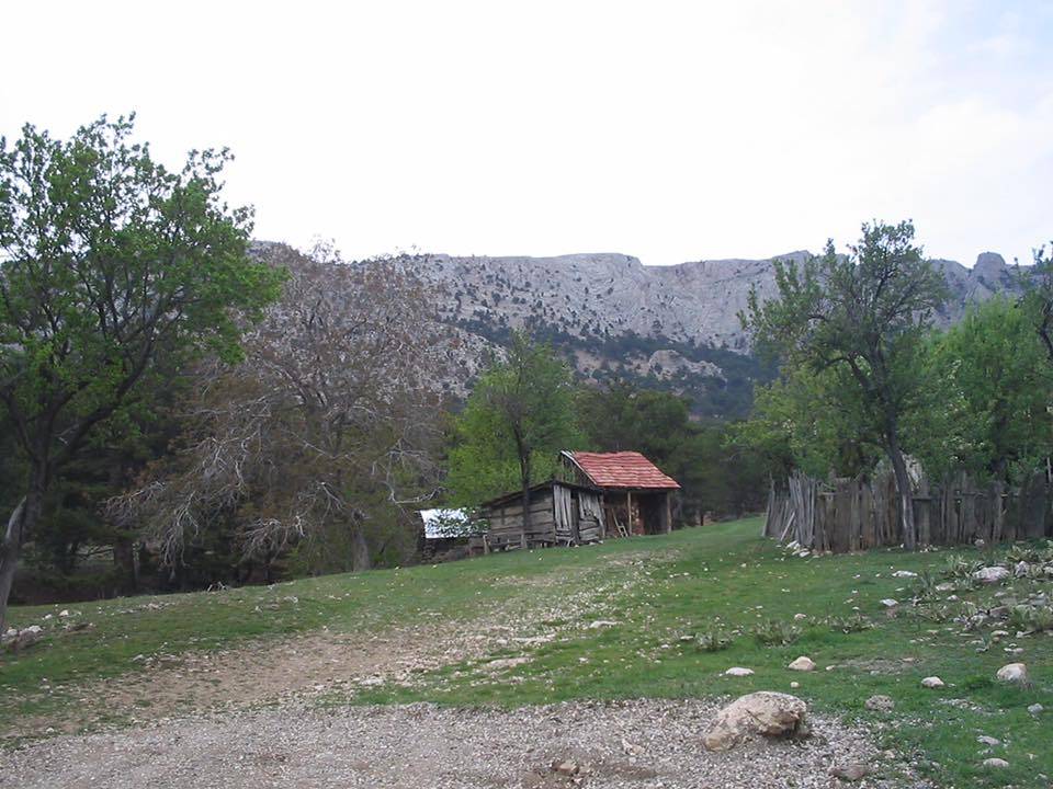 Nallıhan Karacasu Köyü Resimleri 4