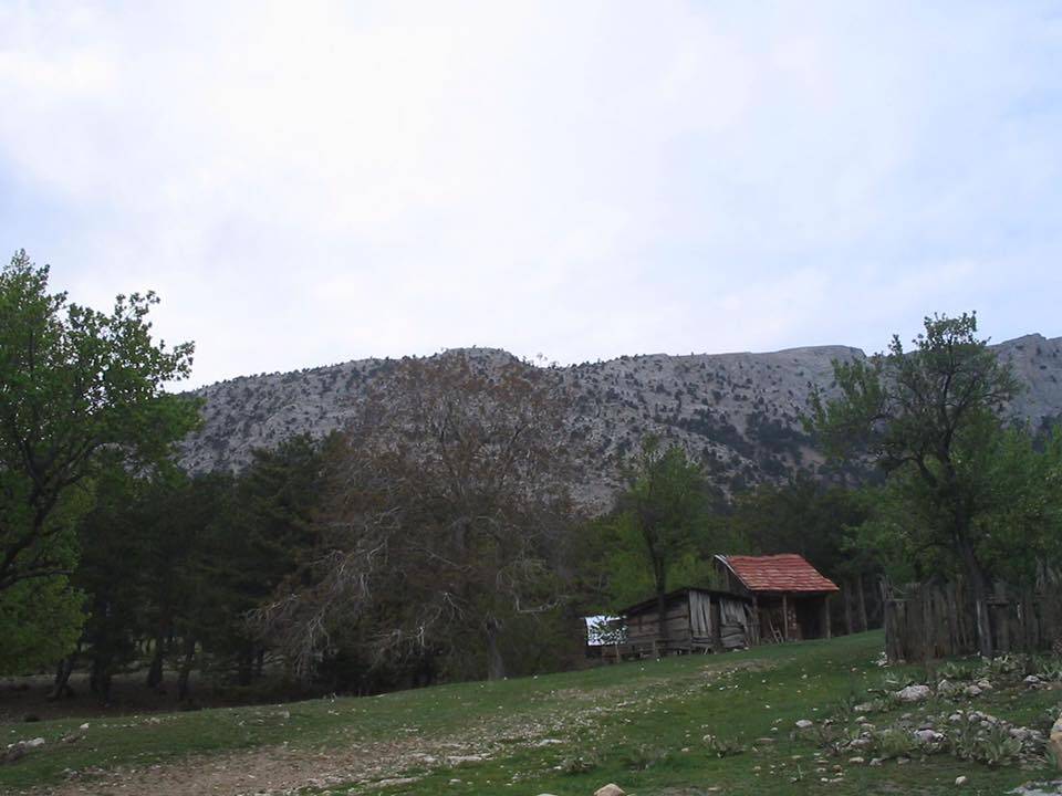 Nallıhan Karacasu Köyü Resimleri 7