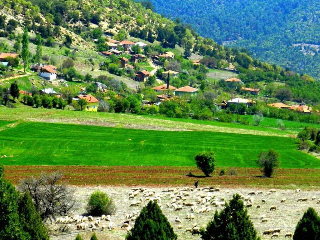 Nallıhan Karahisargölcük Köyü Resimleri 10