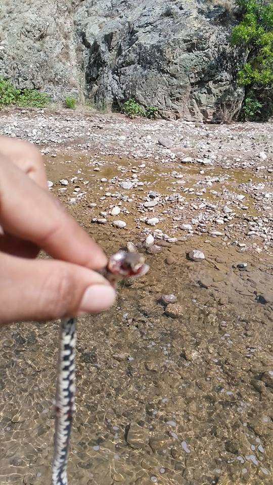 Nallıhan Karahisargölcük Köyü Resimleri 3