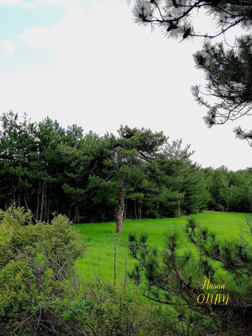 Nallıhan Karahisarkozlu Köyü Resimleri 10