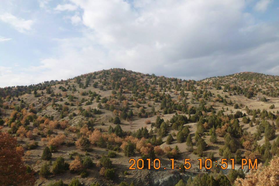 Nallıhan Karahisarkozlu Köyü Resimleri 2