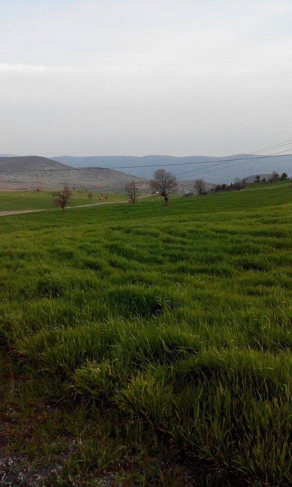 Nallıhan Kavak Köyü Resimleri 1