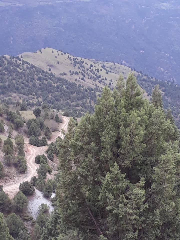 Nallıhan Kavak Köyü Resimleri 4