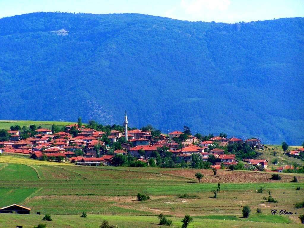 Nallıhan Kavak Köyü Resimleri 5