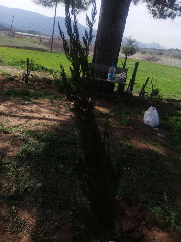 Nallıhan Kuzucular Köyü Resimleri 6