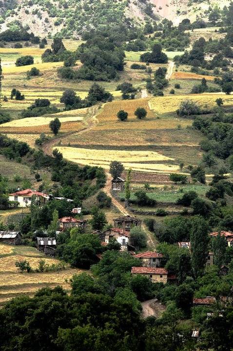 Nallıhan Meyilhacılar Köyü Resimleri 1