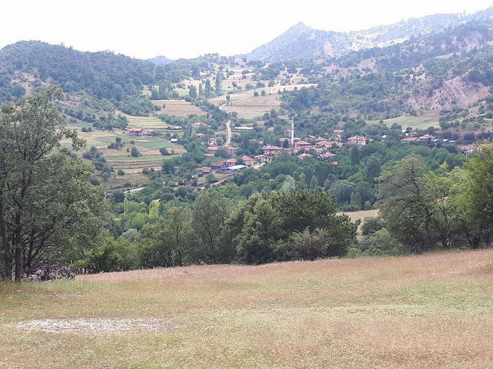 Nallıhan Meyilhacılar Köyü Resimleri 2