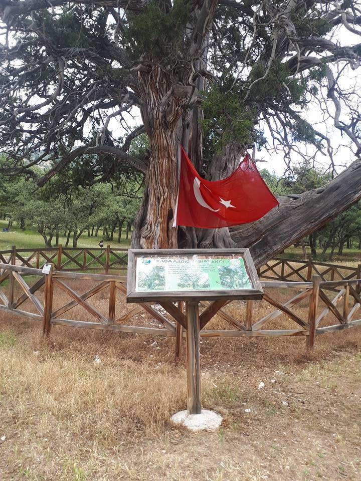 Nallıhan Meyilhacılar Köyü Resimleri 3