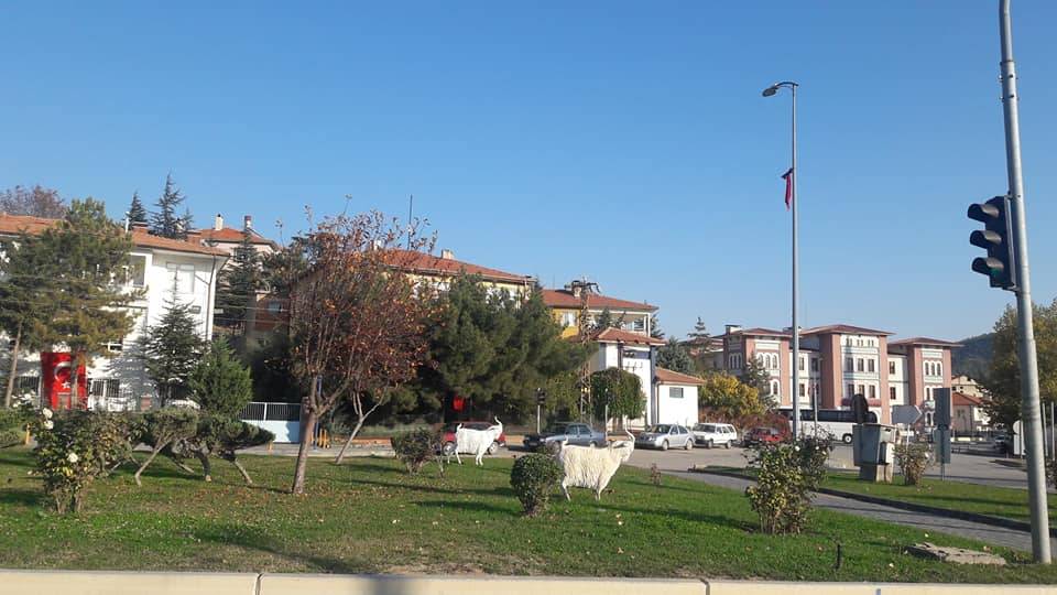 Nallıhan Nallıdere Köyü Resimleri 6