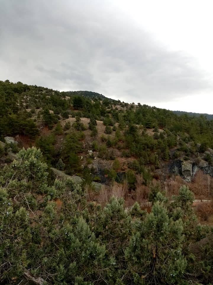 Nallıhan Nallıdere Köyü Resimleri 8