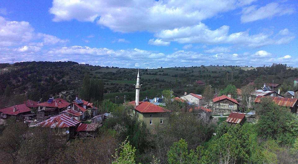 Nallıhan Nallıgölcük Köyü 1