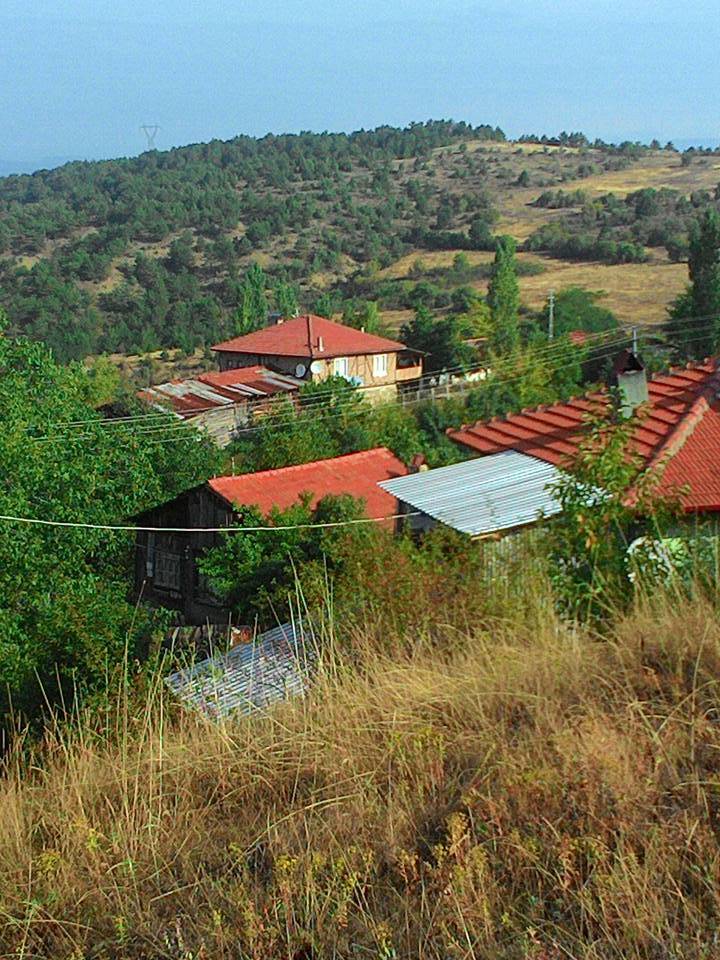 Nallıhan Nallıgölcük Köyü 3