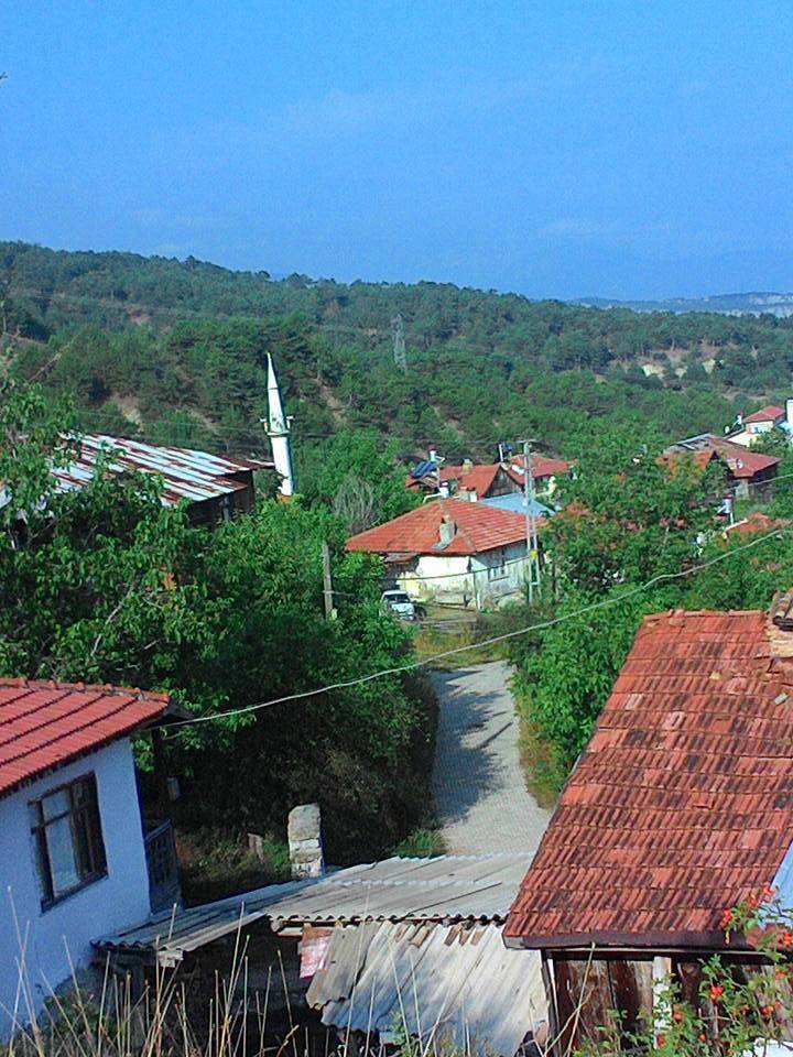 Nallıhan Nallıgölcük Köyü 5