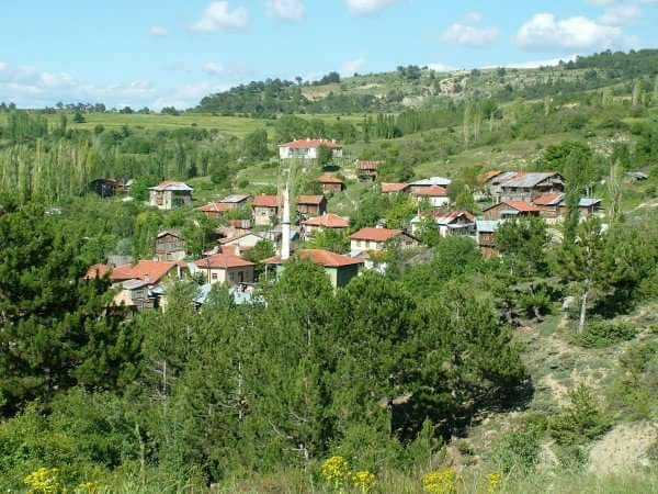 Nallıhan Nallıgölcük Köyü 6