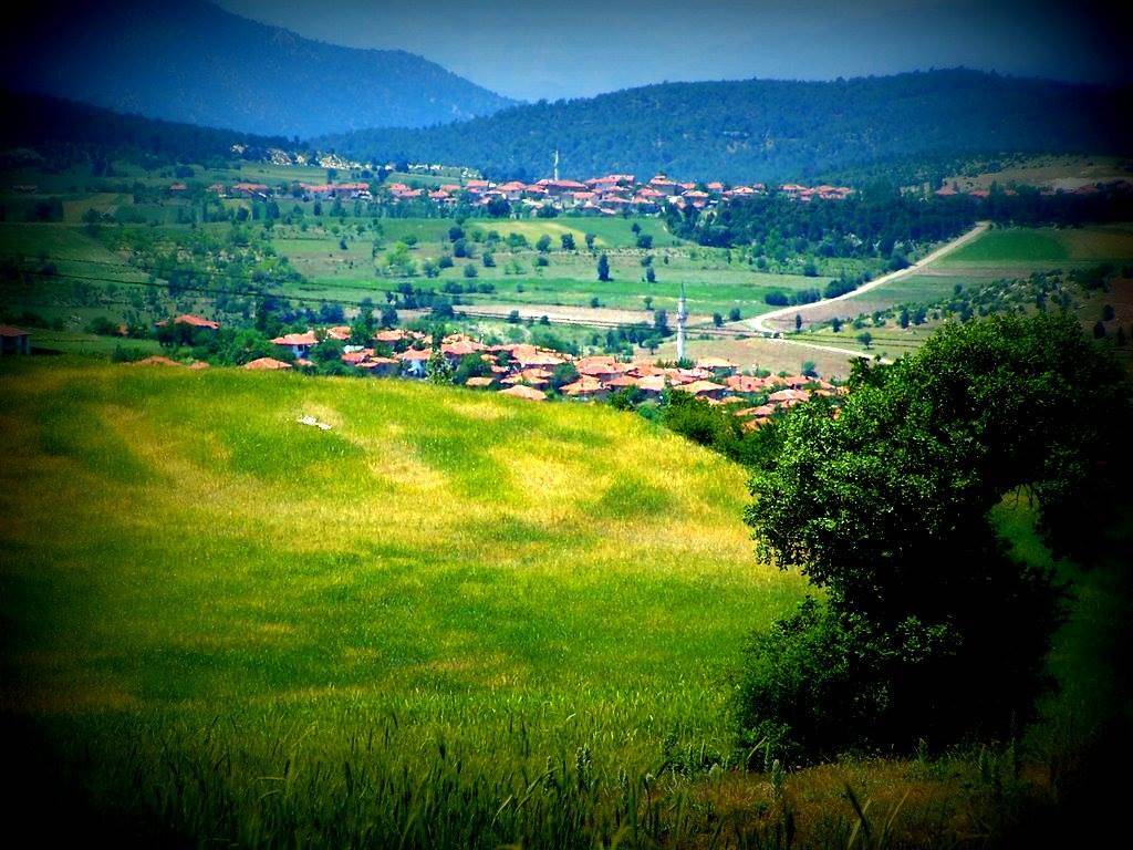 Nallıhan Osmanköy Köyü Resimleri 1