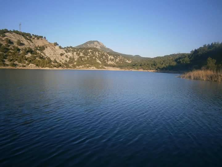 Nallıhan Ozanköy Köyü Resimleri 2