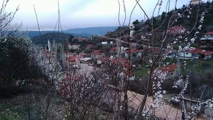 Nallıhan Ozanköy Köyü Resimleri 3