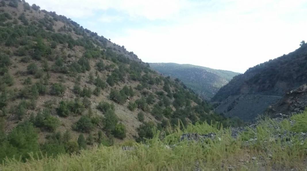 Nallıhan Ömerşeyhler Köyü Resimleri 3